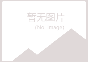 大洼县山柏化学有限公司